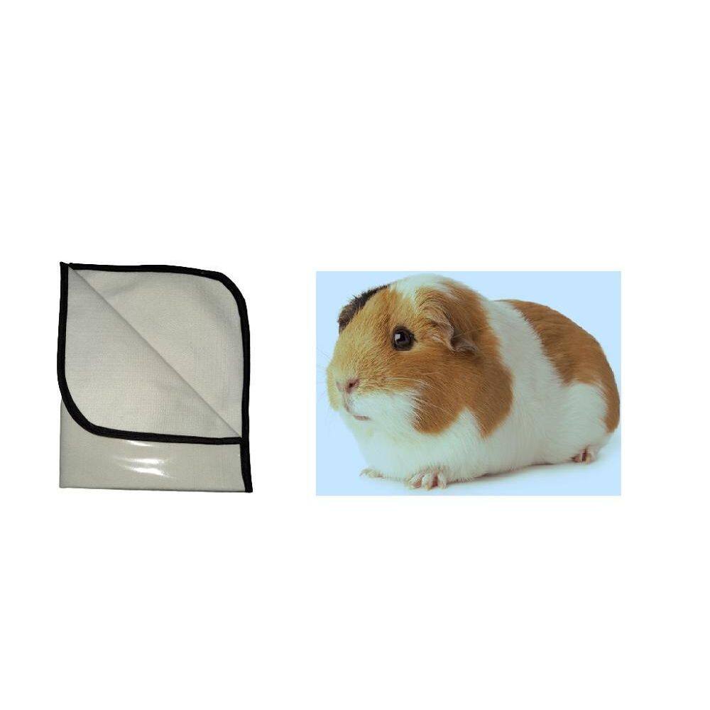 10 Tapetes Higiênico Porquinho Da Índia, P 50X60 Cm