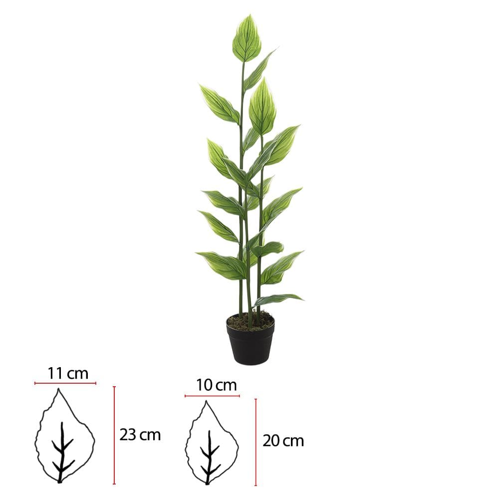 A. Hosta Real Toque C/Pote X19 (Verde Creme) 1,2m