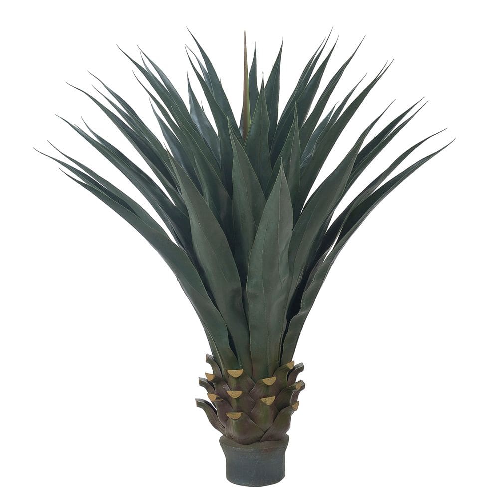Folhagem Agave Plt. X48 (Verde) 90cm
