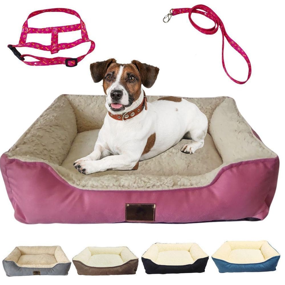Kit Cama Peluciada Confort 50X40 Cm E Coleira Peitoral Pet