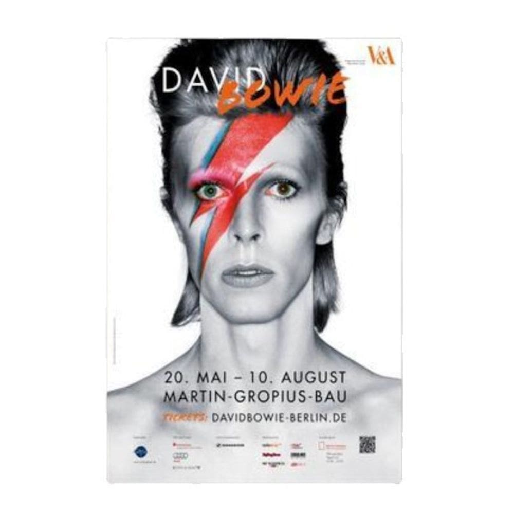 Pôster de arte de parede Imagem Anime Art Davids Bowies 40x50cm