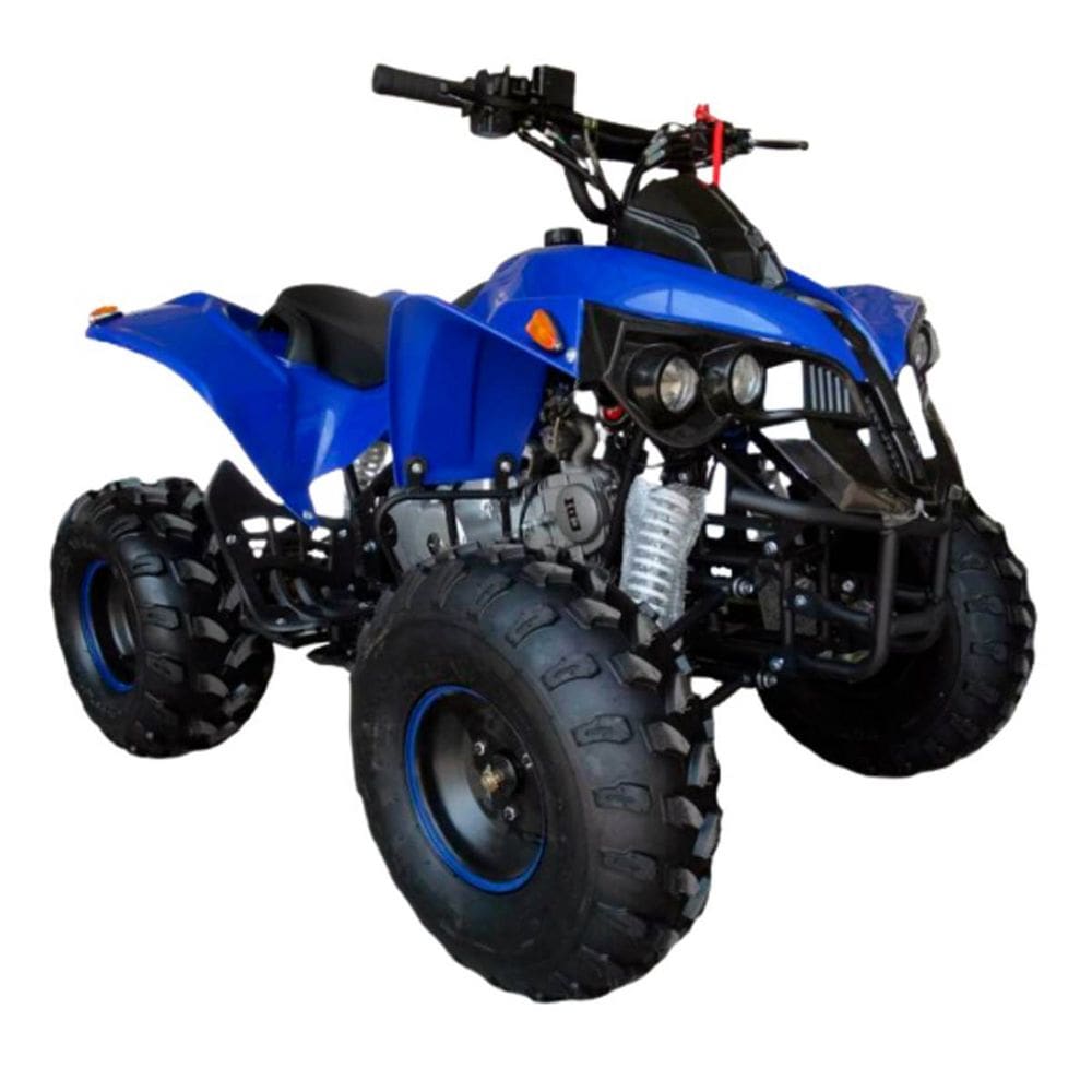 Quadriciclo Gasolina 125CC 4T Partida Elétrica Automático com Ré 0Km Azul Importway Iwatvr-125 Az
