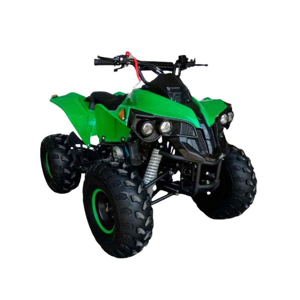 Quadriciclo Gasolina 125CC 4T Partida Elétrica Automático com Ré 0Km Verde Importway Iwatvr-125 Vd