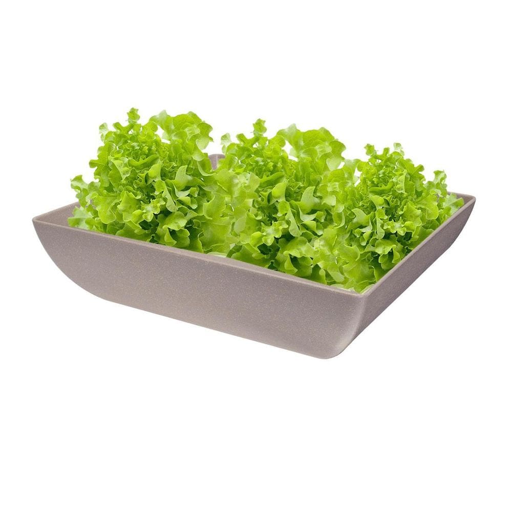 Saladeira Quadrada 2,9 Lt Travessa Petisqueira Cinza