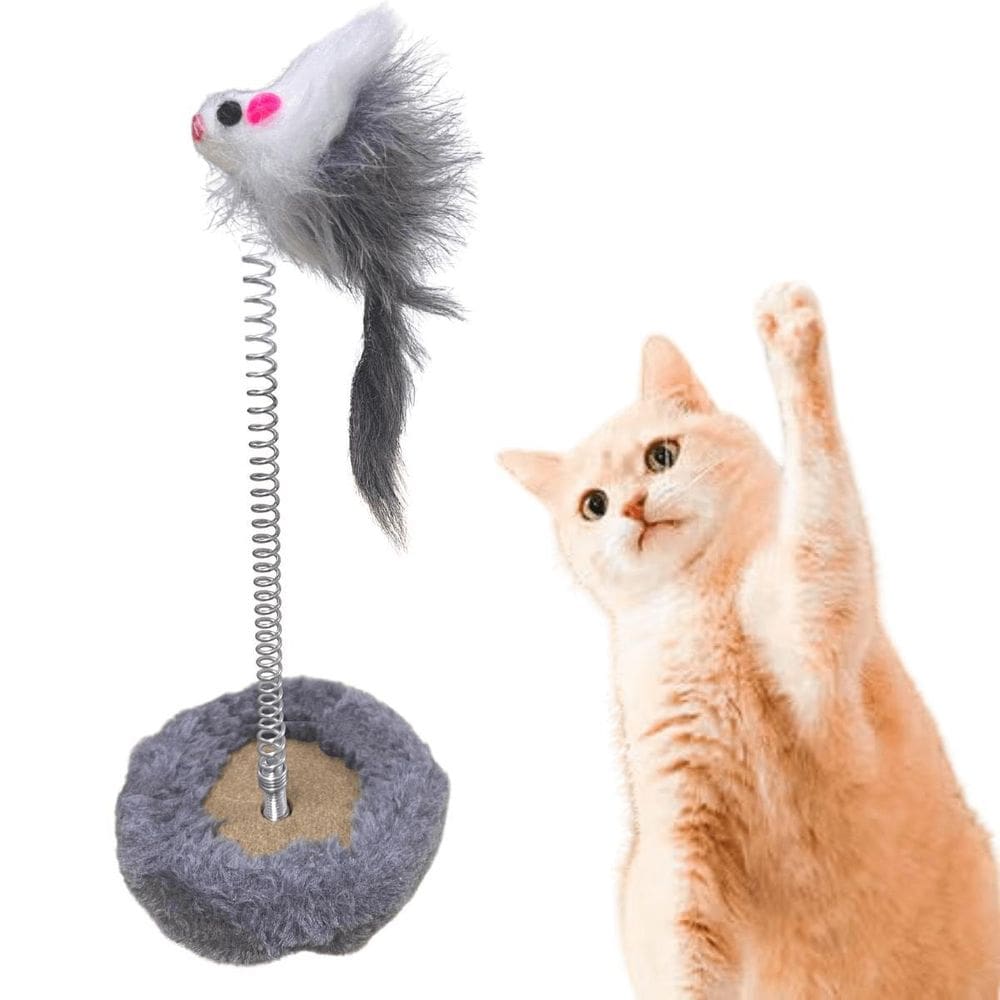 Brinquedo Gato Mola Maluca Chocalho Brinquedo Gatos