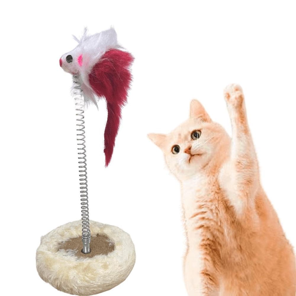 Brinquedo Gato Mola Maluca Chocalho Brinquedo Gatos