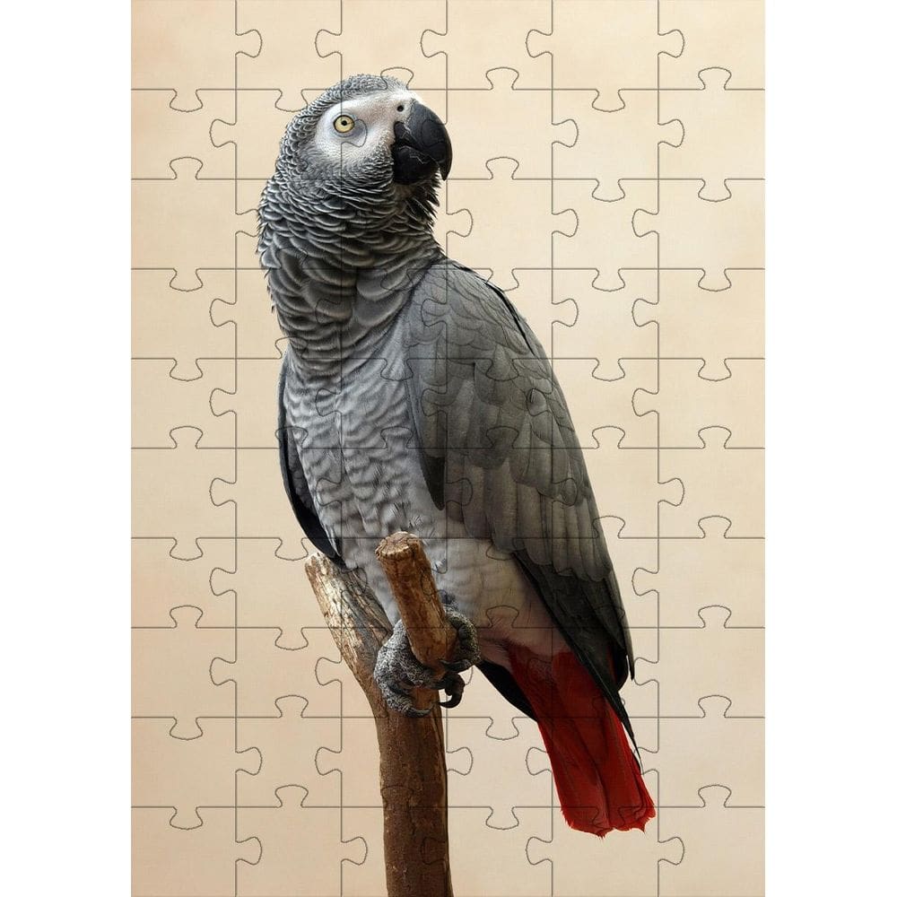 Kit 2 Quebra-Cabeça Inclusivos Beleza Dos Pássaros Em 24