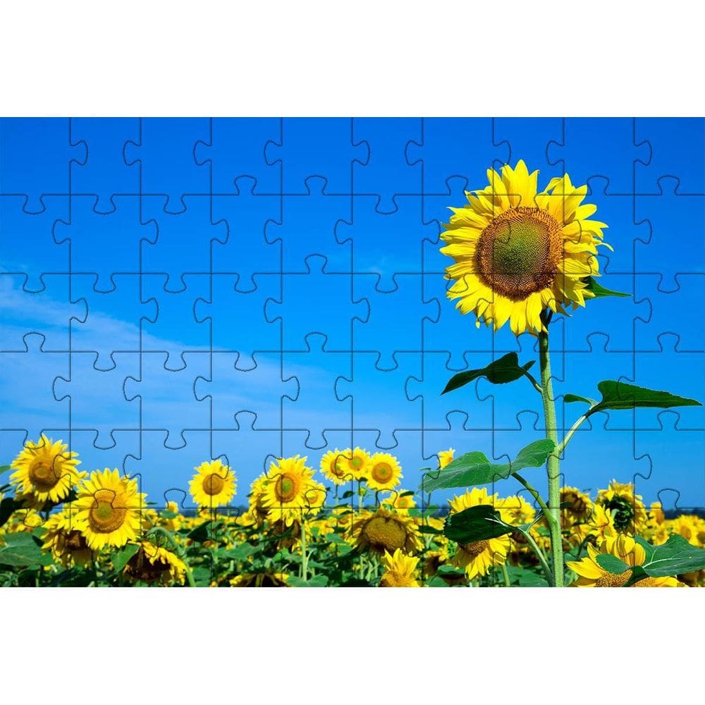 Quebra-Cabeça Campo De Girassol De 150 Peças Em Mdf