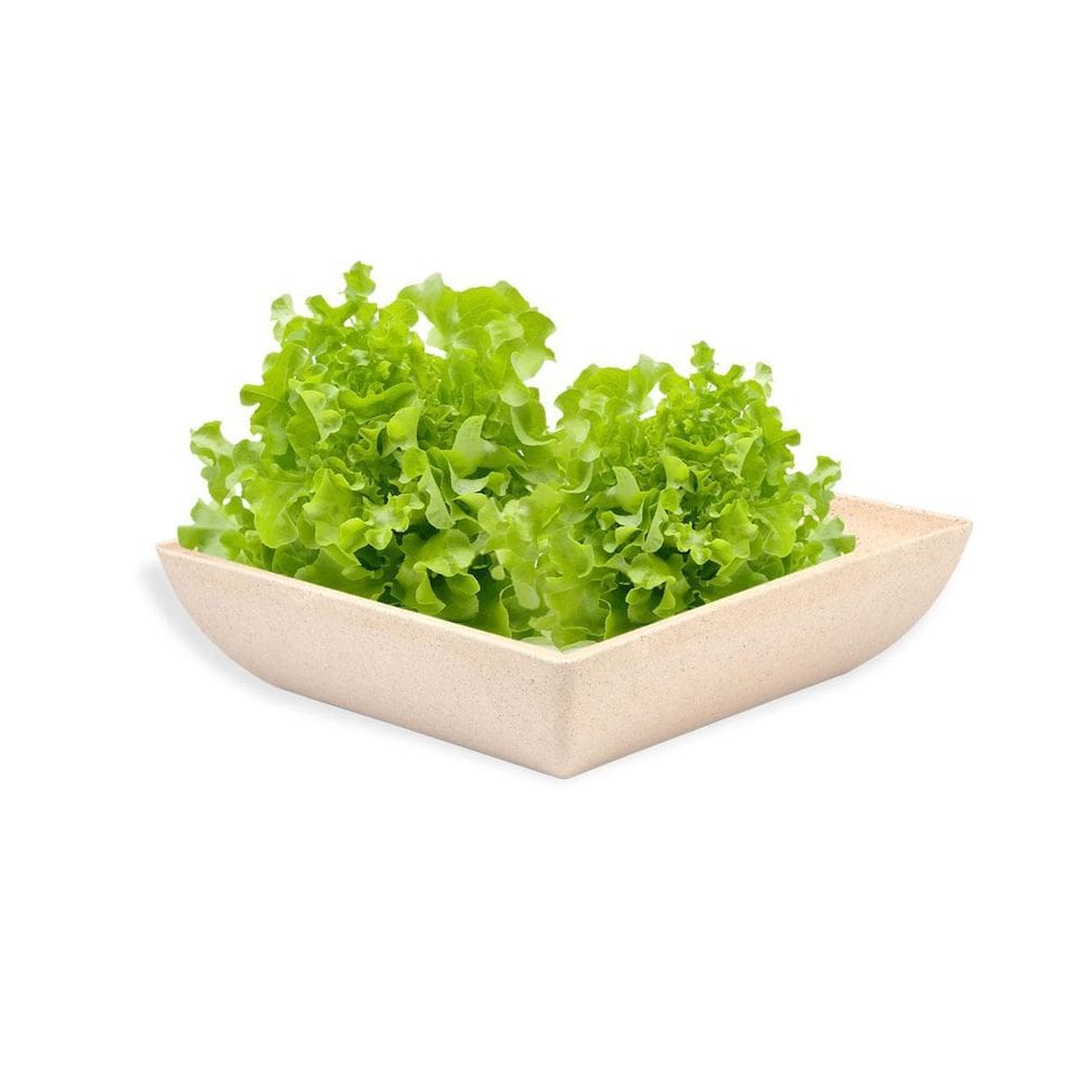 Saladeira Quadrada 2,9 Lt Travessa Petisqueira Bege