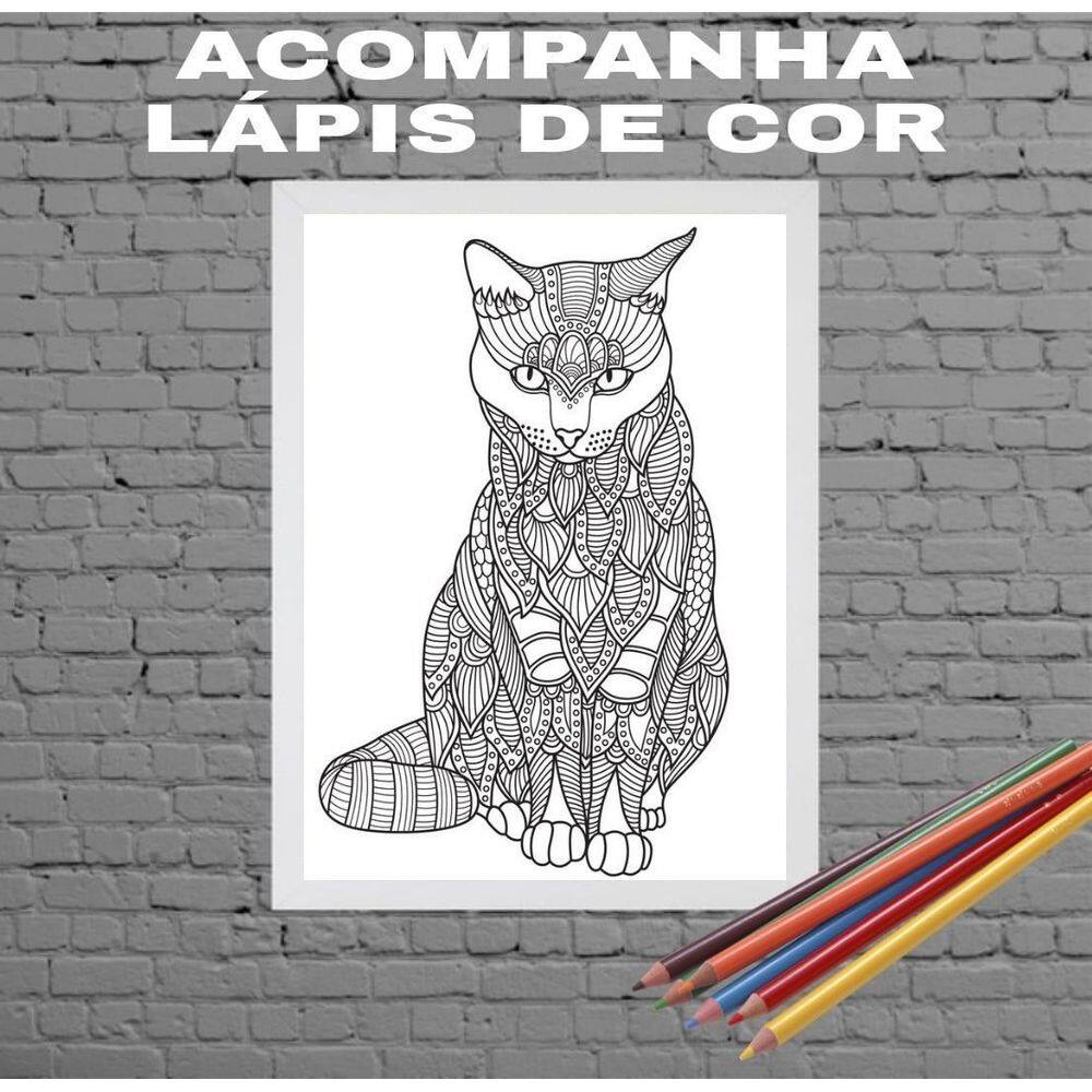 Quadro Decorativo Para Colorir Gato Moldura Branca 24X18Cm