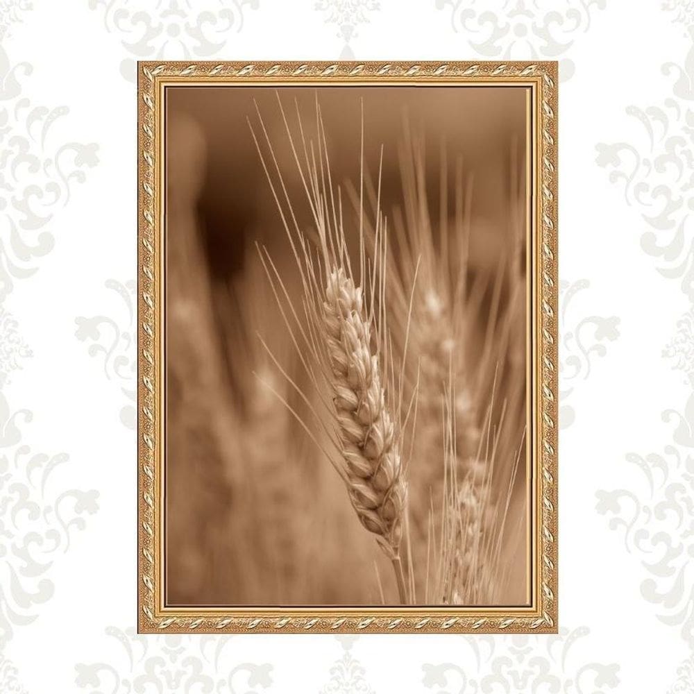 Quadro Moldura Dourada Trigo 24X18Cm