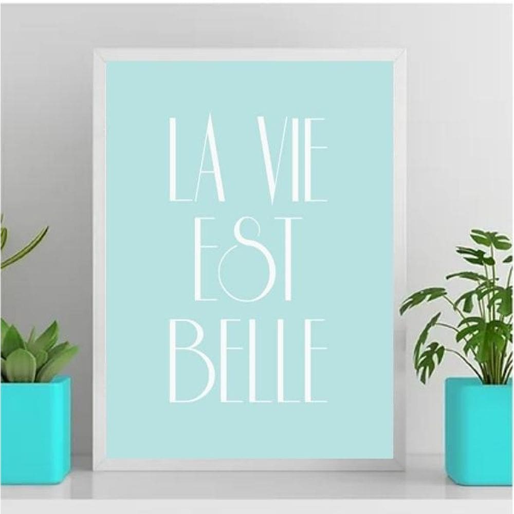 Quadro La Vie Est Belle 33X24Cm Vidro Branca
