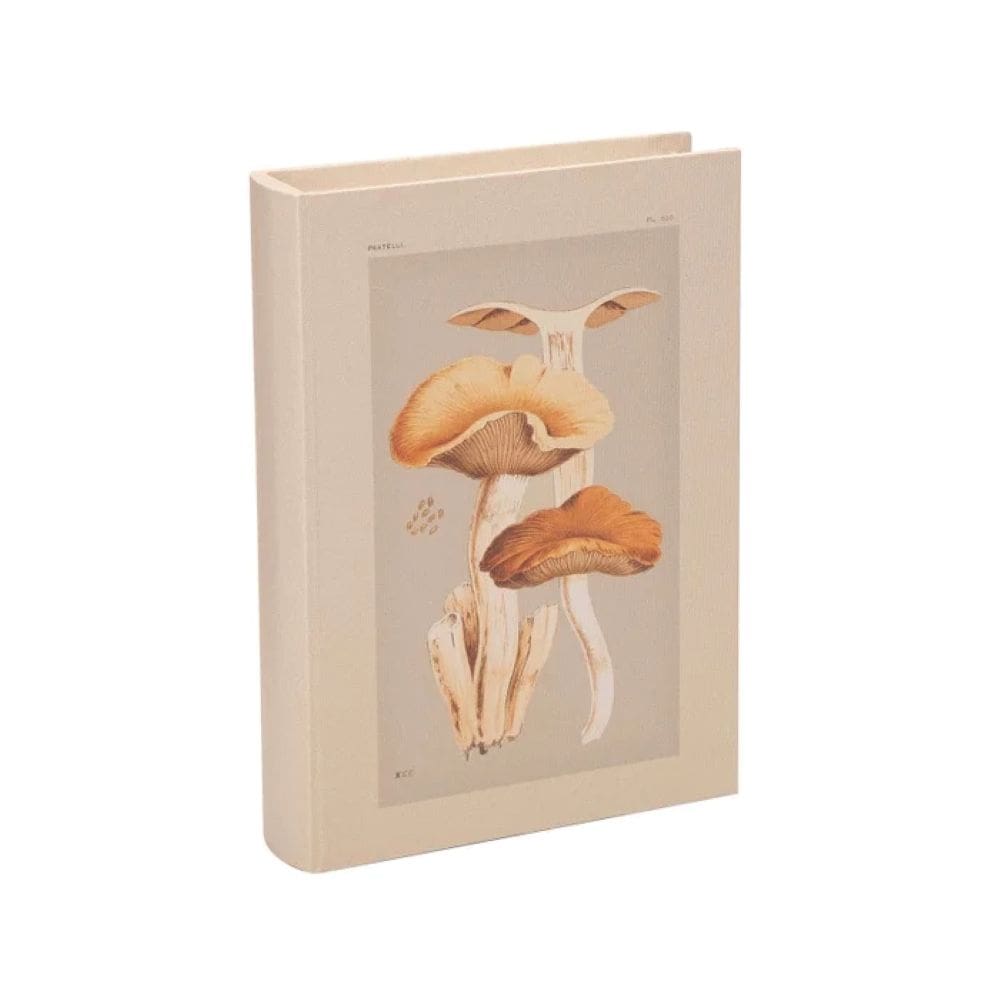 Livro Caixa  Decorativo Fungy Pequeno