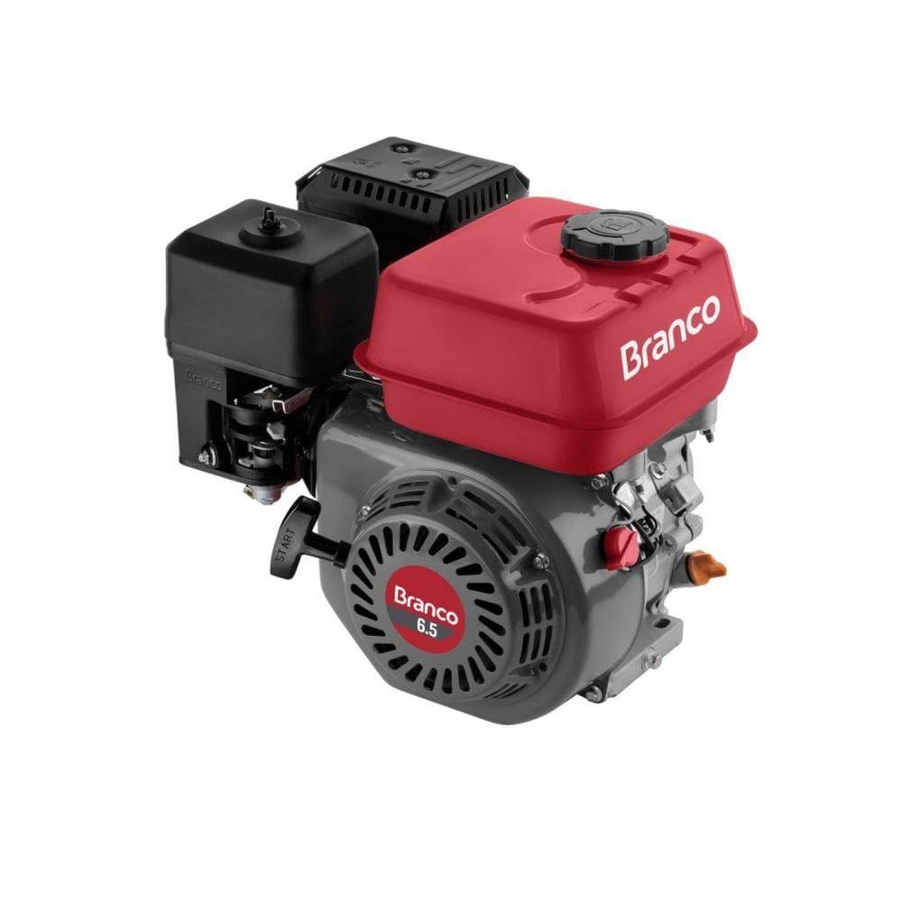 Motor Gasolina 6,5cv Eixo H Partida Manual B4t-6.5h Branco