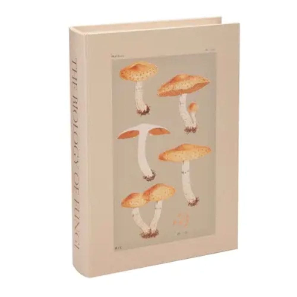 Livro Caixa Decorativo Fungy Grande