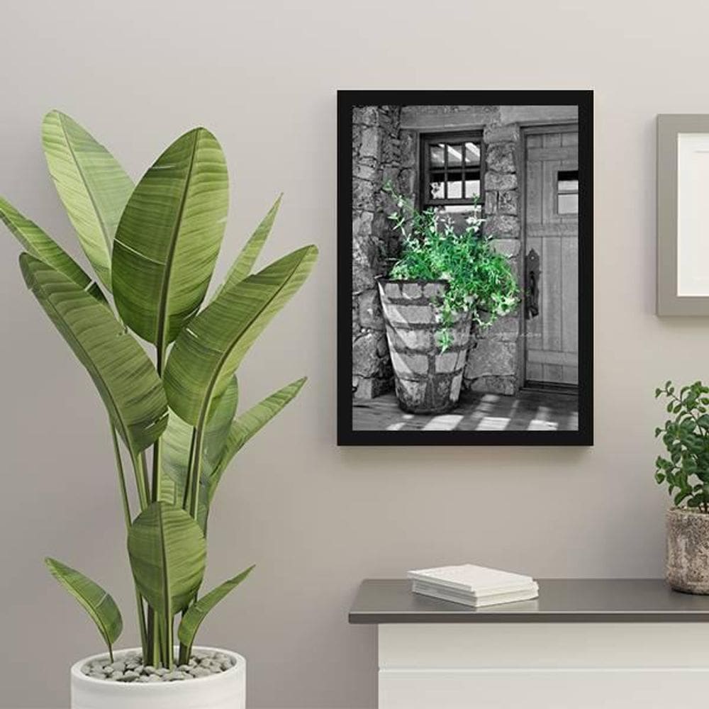 Quadro Fotografia Vaso Com Plantas 24X18Cm - Com Vidro