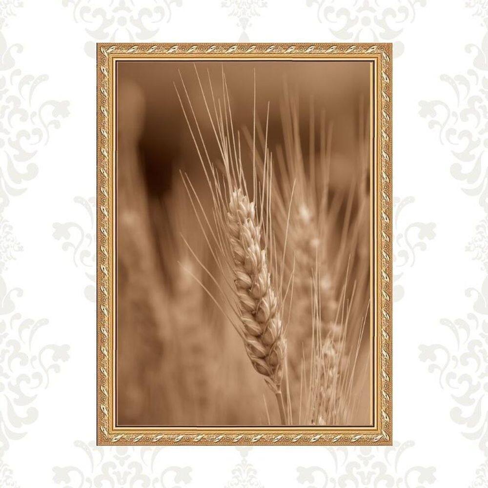 Quadro Moldura Dourada Trigo 33X24Cm