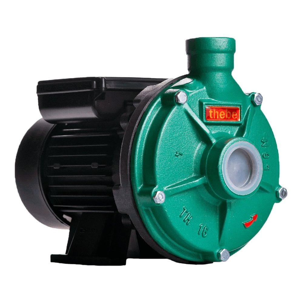 Bomba Th-16 1,0 Cv Monofásico Motor Ip55 127/220-254v Thebe Ebara