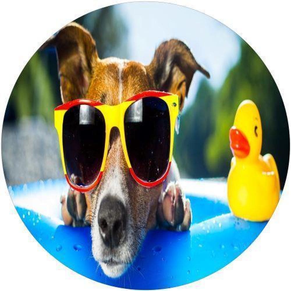 Capa De Estepe Ecosport Aircross Dog Mergulho