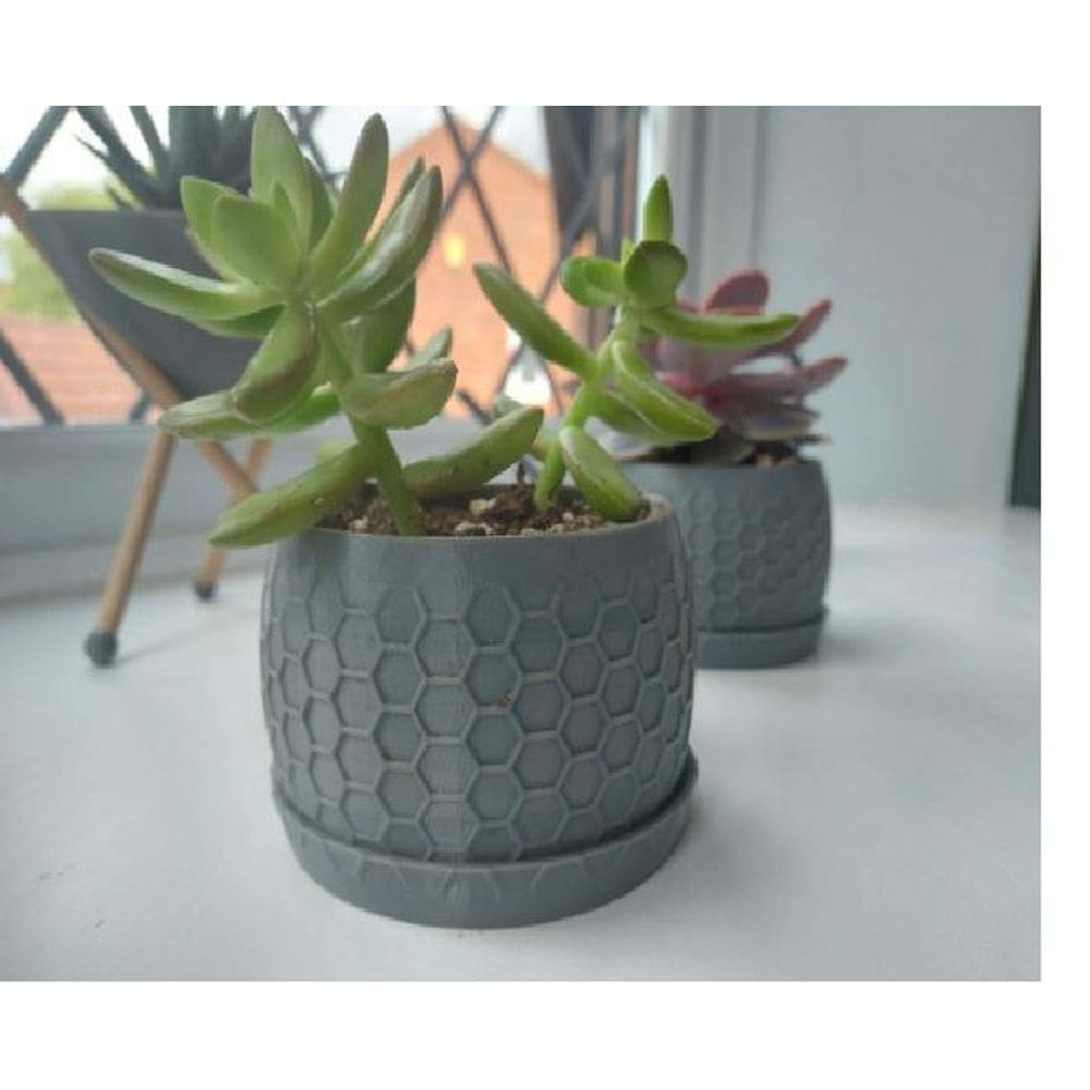 Kit 2 Vasos Para Suculenta Flores Formato Colméia