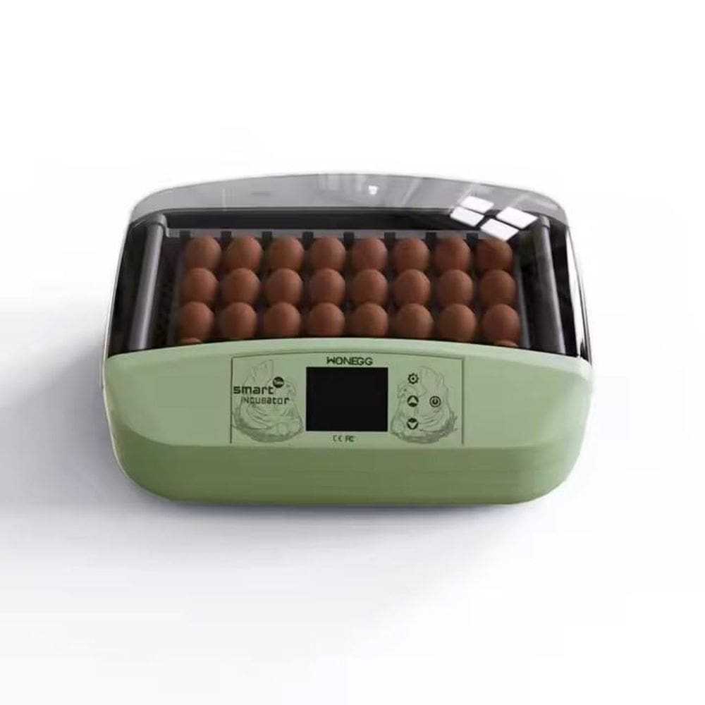 Chocadeira De Roletes 32 Ovos Temperat Umidade Digital 110V