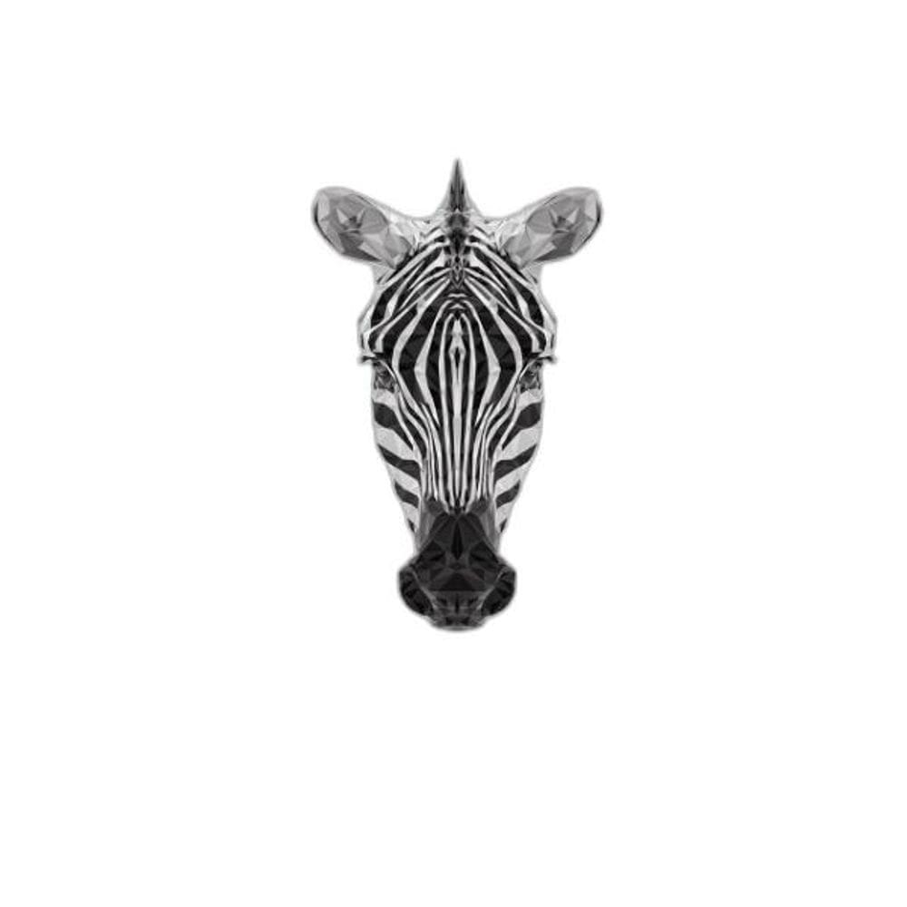 Quadro Cabeça De Zebra Geométrica 24X18Cm - Madeira Branca