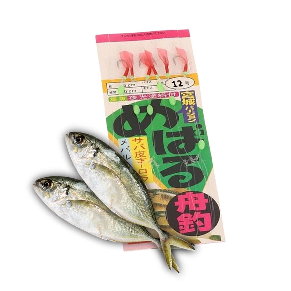 Isca Artificial Fluorescente Sabiki Pesca Esportiva 6 Anzois Bagre Marinho Lago Rio Acude Peixes Predadores Noturna