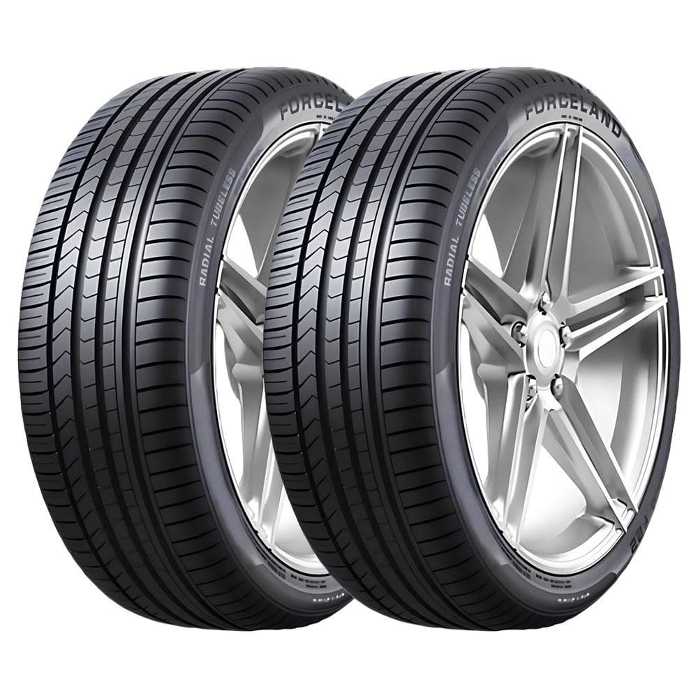 KIT 2 Pneus Forceland Vitality F22 205/65 R16 Aro 16 95H