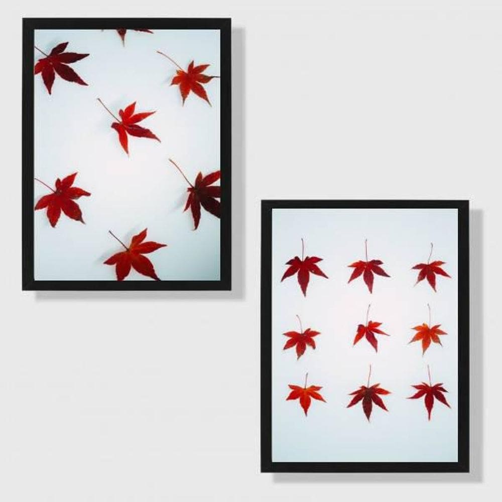 Kit 2 Quadros Maple 24X18Cm