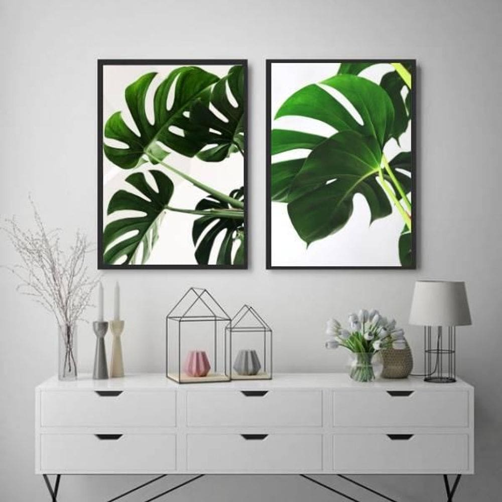 Kit 2 Quadros Costela De Adão 33X24 C/Vidro - Madeira Preta