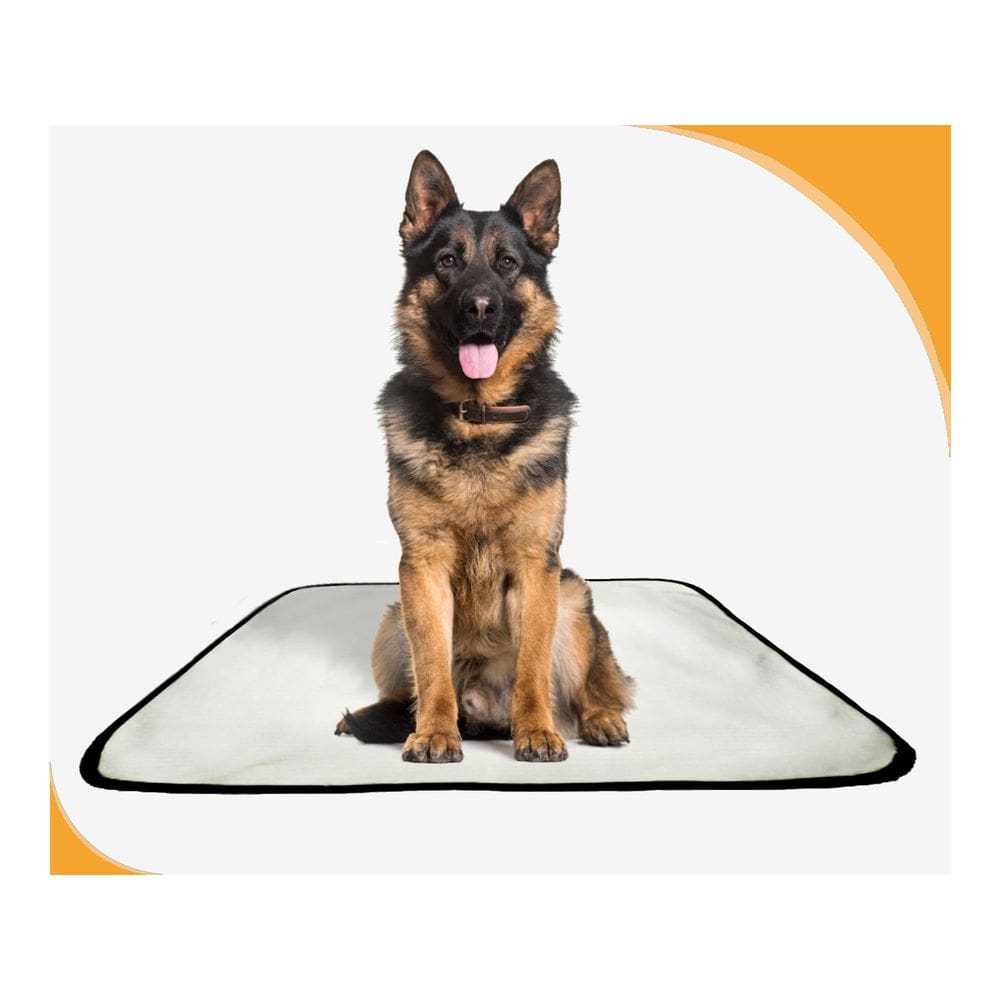 Tapete Para Pets Lavável Higiênico Prático 2 Un G 90X100Cm