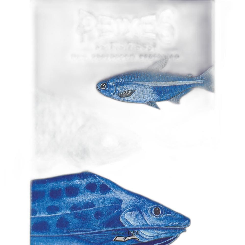 Livro Peixes Do Rio Tibagi Uma Abordagem Ecológica