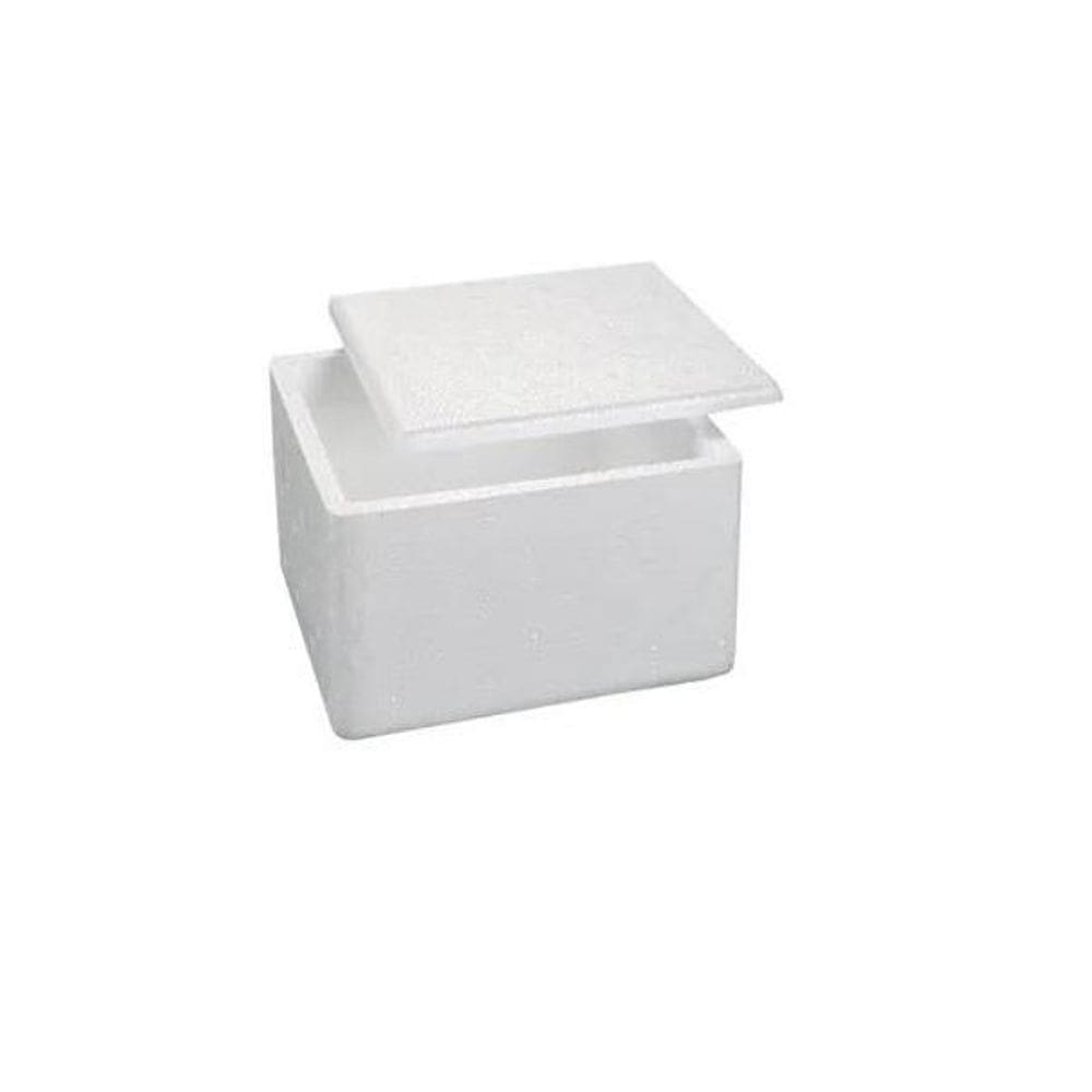 Caixa De Isopor 1Kg / Sorvete / Insulina 1,5L