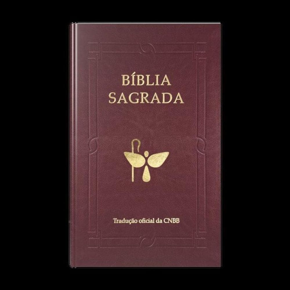 Bíblia Sagrada