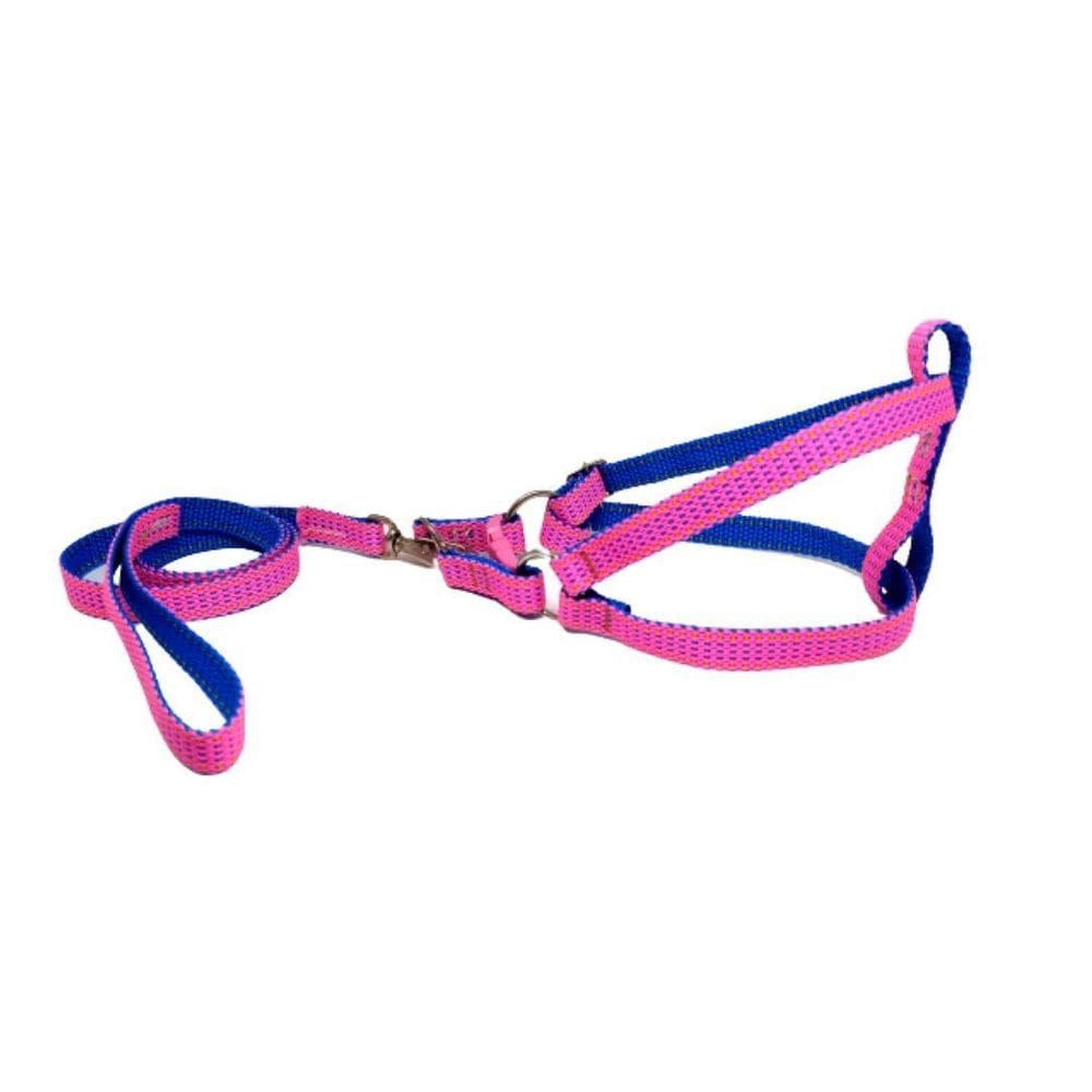 MP - Coleira Peitoral Riscadinho Americano