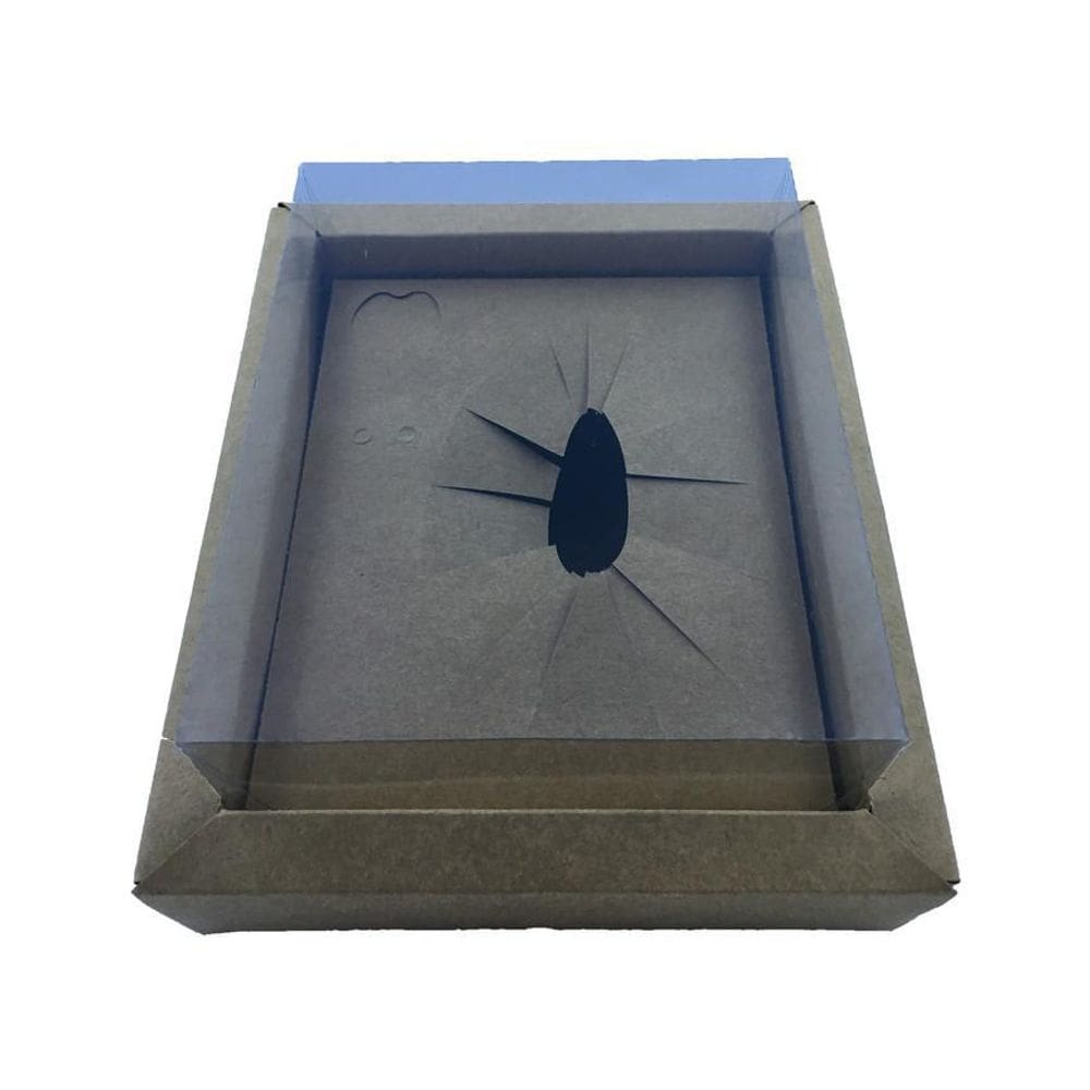 Embala Cristal Caixa Para Ovo De Colher 350G Borda Kraft