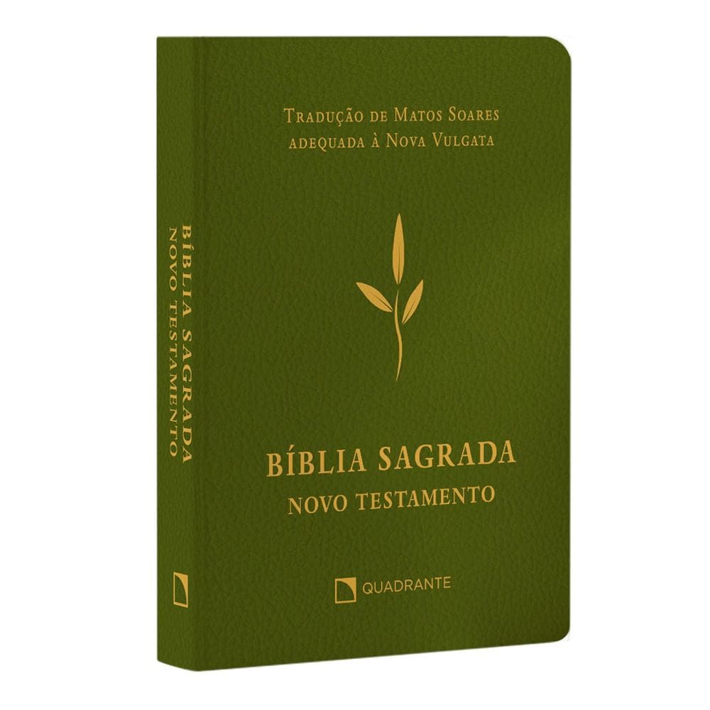 Bíblia Sagrada - Novo Testamento