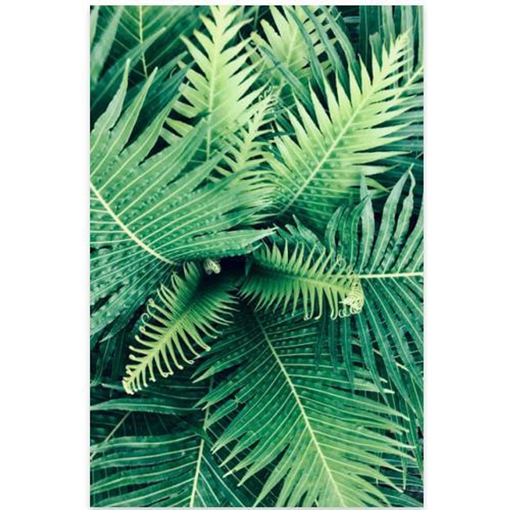 Quadro Folhas Premium Montion Nature Midiapoparte 60x80