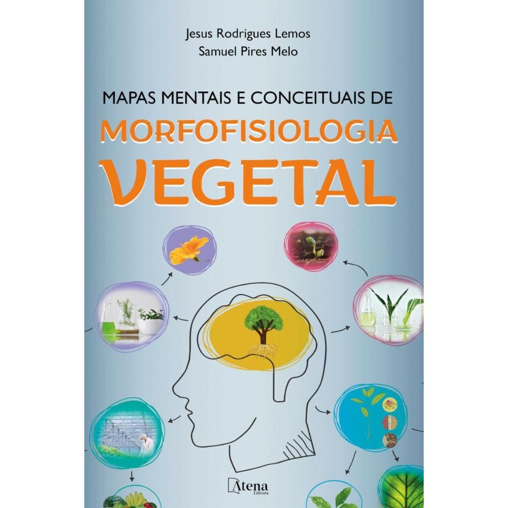 Mapas mentais e conceituais de morfofisiologia vegetal