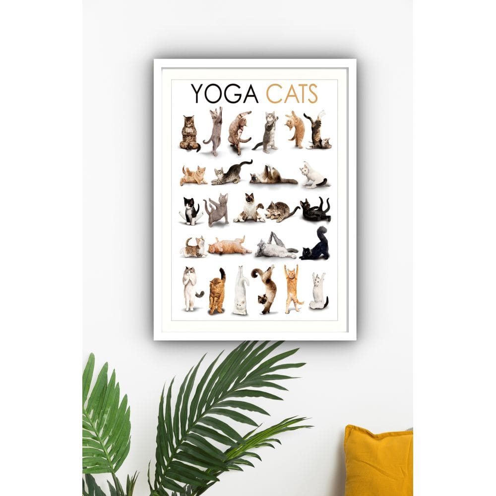 Quadro Decorativo Yoga Gatos  - 70x50cm