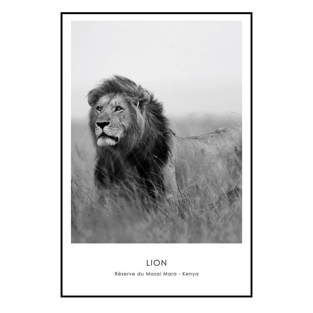 Quadro Decorativo Leão 60cmx90cm Barcelona