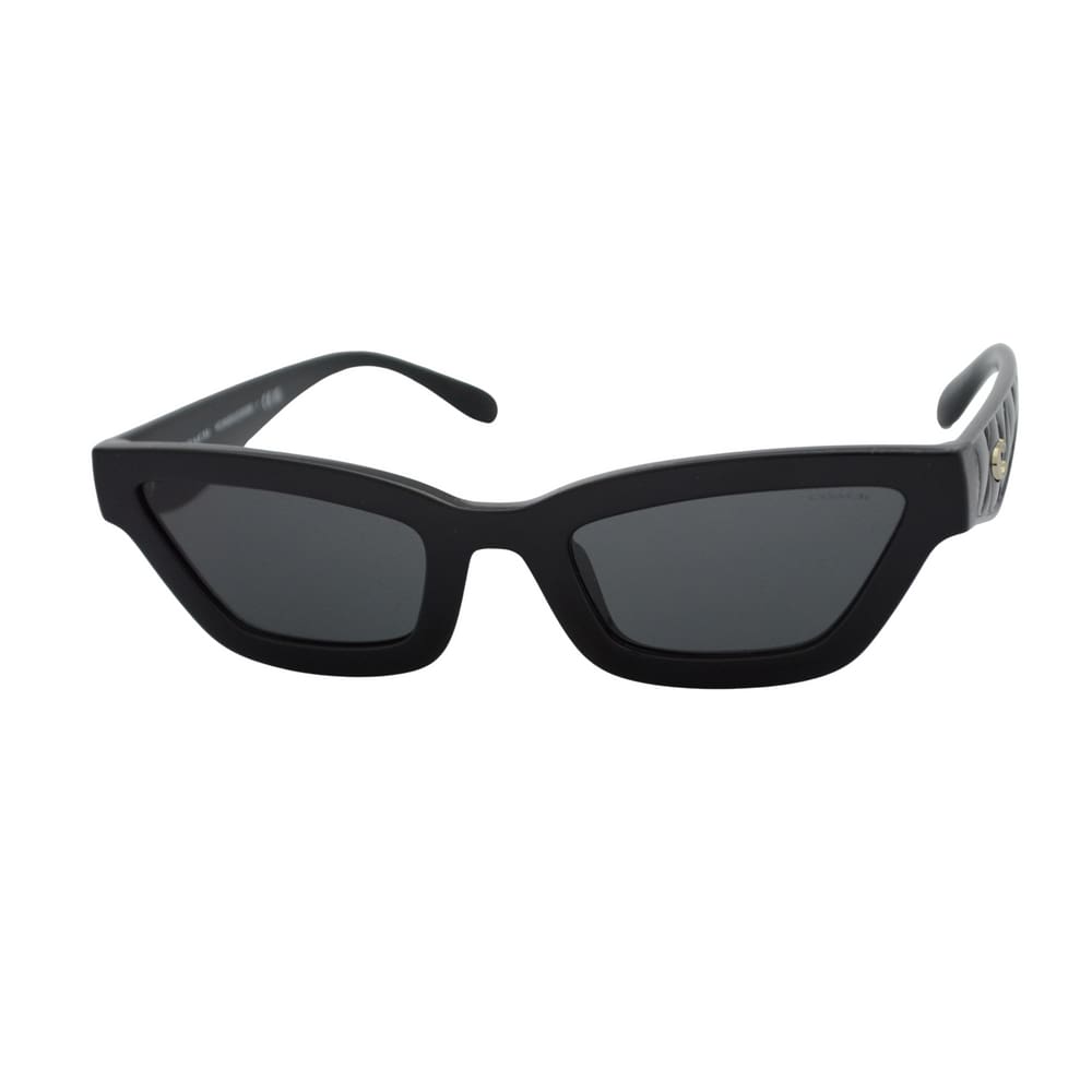 óculos de sol Coach mod hc8420u 500287