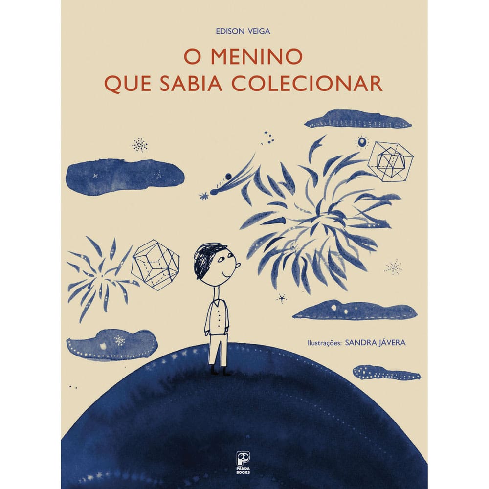 Livro - O Menino Que Sabia Colecionar - Edison Veiga e Sandra Jávera