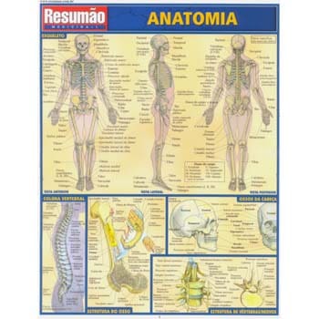 Livro - Resumão - Anatomia - Maria Ignez T. França