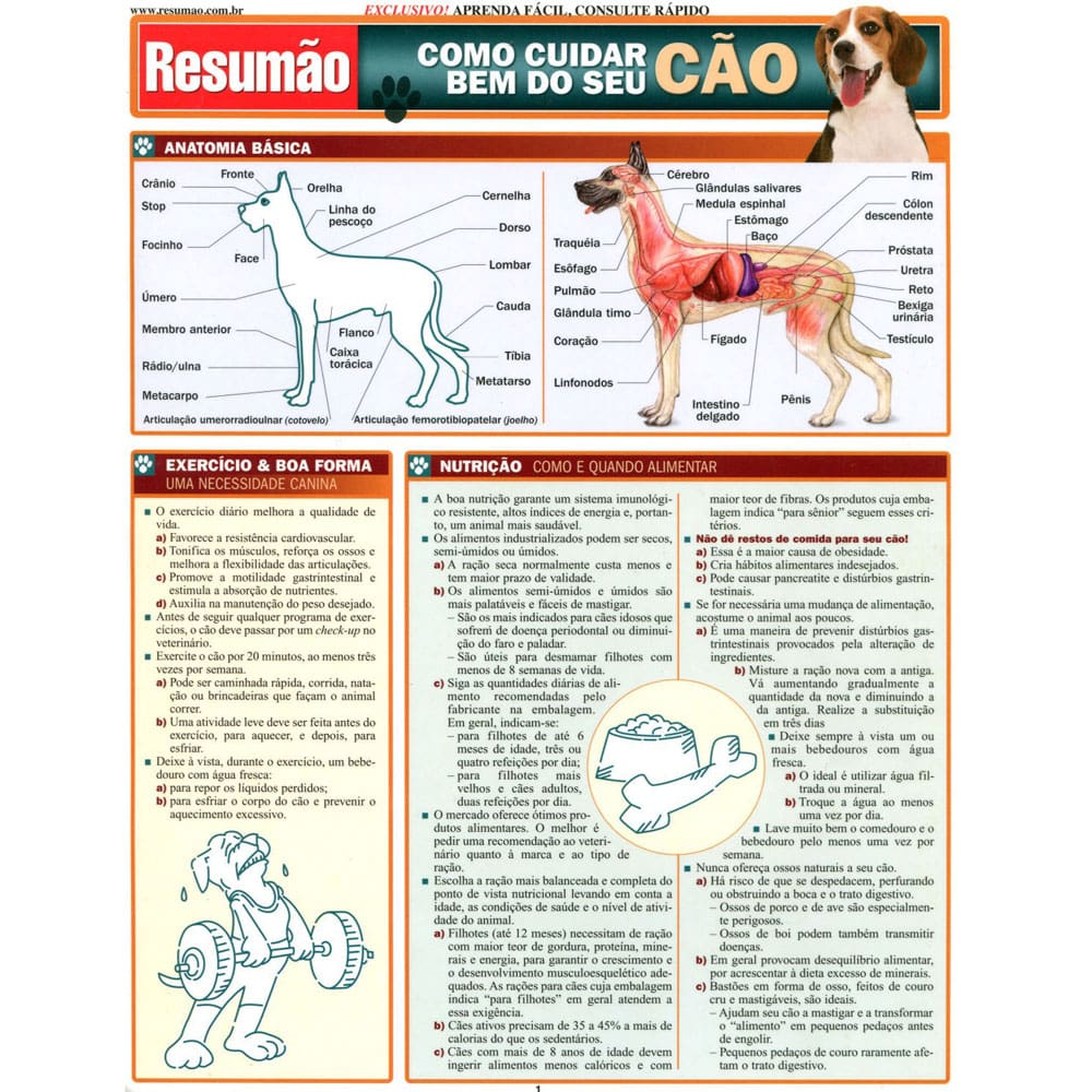 Livro - Resumão - Como Cuidar Bem do Seu Cão - C. Pinney