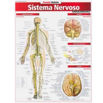 Livro - Resumão Medicina - Sistema Nervoso Avançado