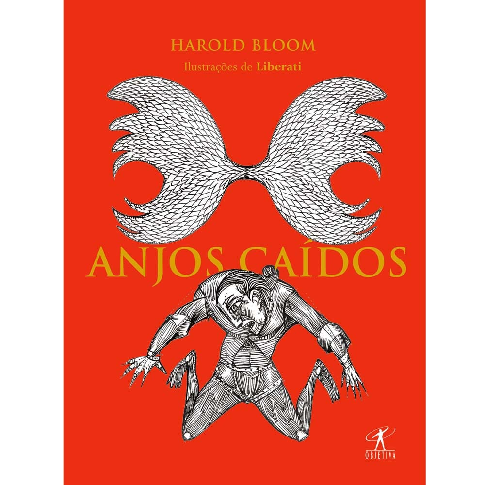 Livro - Anjos Caídos