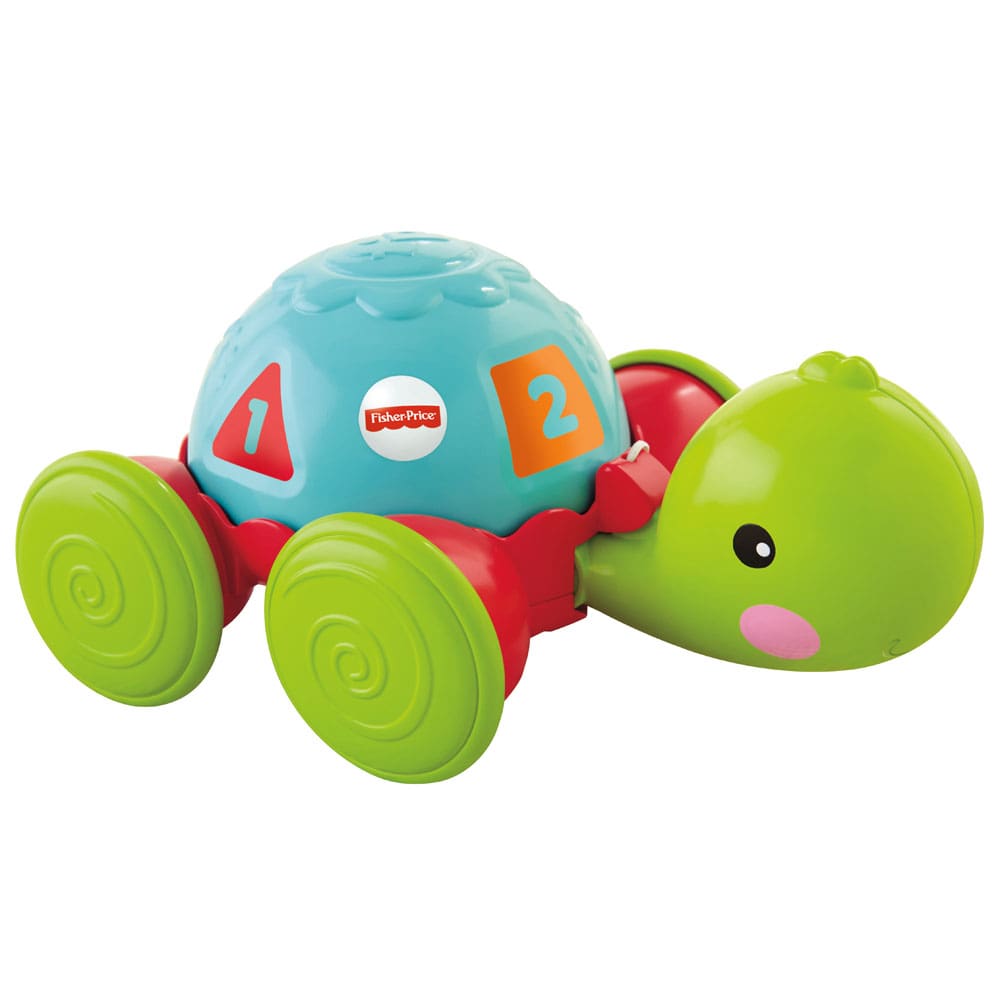 Empurra Tartaruga Fisher-Price Y8652 - Colorido