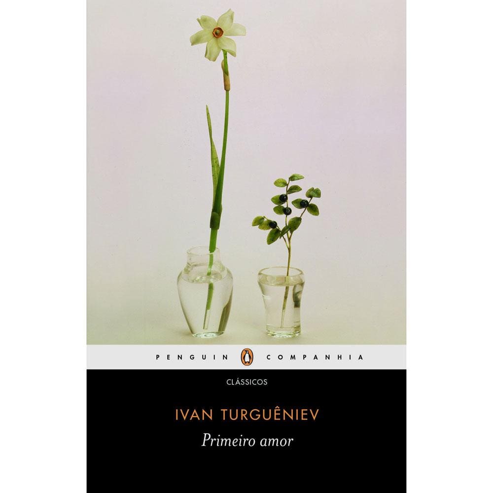 Livro – Primeiro Amor - Ivan Turguêniev