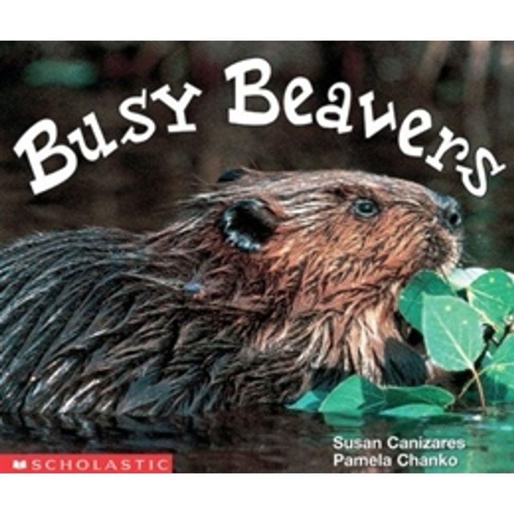 Busy Beavers